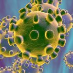 Alte doua coronavirusuri pot infecta oamenii, sugereaza studiile