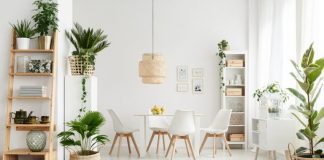 Cum sa-ti decorezi casa