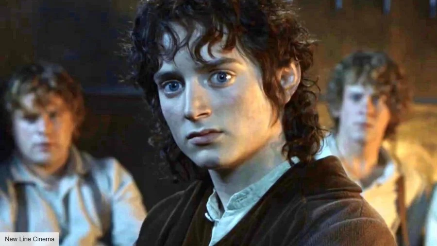 Cele mai bune personaje ale Stapanului Inelelor: Elijah Wood in rolul lui Frodo Baggins